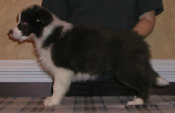 Girl, Eight Weeks