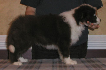 Girl, Eight Weeks
