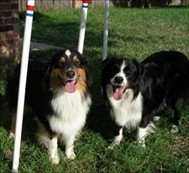 Rory & Barley Weaves