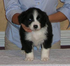 Boy #1, 5 weeks