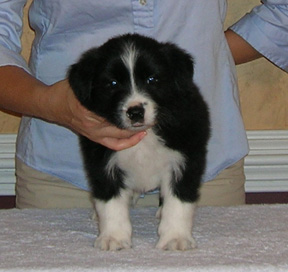 Boy #2, 5 weeks