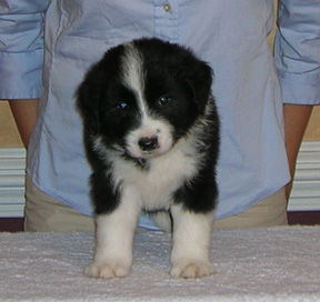 Boy #3, 5 weeks