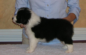 Girl #1, 5 weeks