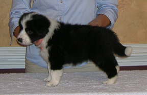 Girl #2, 5 weeks
