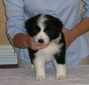 Girl #2, 5 weeks