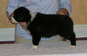 Girl #3, 5 weeks