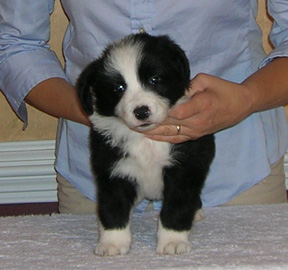 Girl #3, 5 weeks