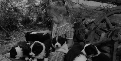 Karys with Piper's puppies