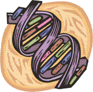 DNA - the spiral of life