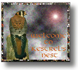 � 1998 Kestrel's Nest Logo, Side Nest-artwork also � 1998 Kestrel's Nest.