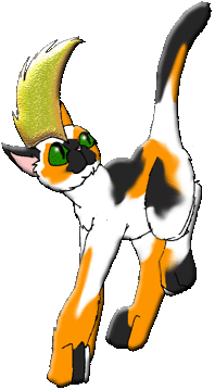 Masked Oreole