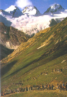 caravan