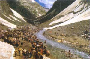 Caravan