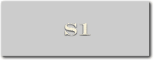 S1