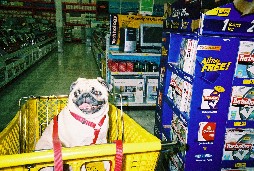 Let's find some bargains!