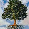 A suitably strange picture of a flying tree... for some reason...