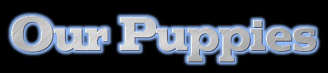 Click HERE to visite UK Kennel Club.org