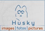Click here to view brilliant Husky Pictures