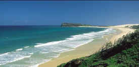 fraserisland-indianhead-long-surf.jpg (22826 bytes)