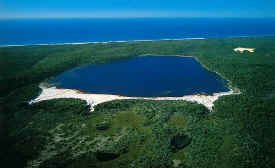 fraserisland-lake-boomanjin01.jpg (29319 bytes)