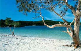 fraserisland-lake-mckenzie-perfection.jpg (37667 bytes)