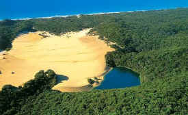fraserisland-lake-wabby-01.jpg (42175 bytes)