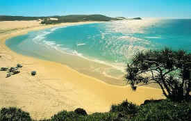 fraserisland-waddy-point-001.jpg (34771 bytes)