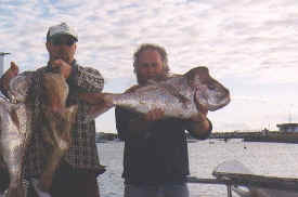 hombre_fish_005.jpg (39899 bytes)