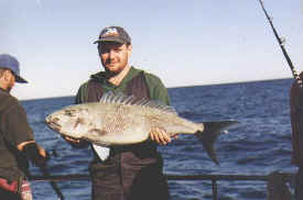 hombre_fish_006.jpg (33890 bytes)