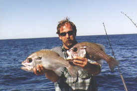 hombre_fish_015a.jpg (40344 bytes)