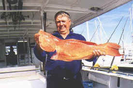 hombre_fish_017a.jpg (48978 bytes)