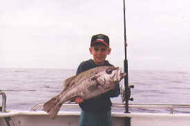 hombre_fish_022a.jpg (29698 bytes)
