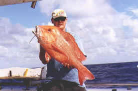 hombre_fish_024a.jpg (38854 bytes)