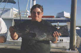 hombre_fish_031a.jpg (37195 bytes)