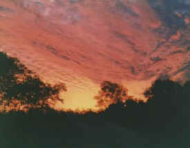 kevins-sunset-mullet-creek.jpg (13821 bytes)
