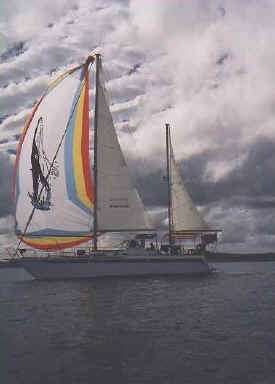 stefanie-under-sail-02.jpg (31908 bytes)