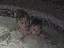 Trygg in the hot tub