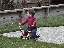 Trygg in the backyard