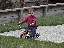 Trygg in the backyard