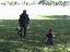 Trygg at the park