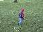 Trygg at the park