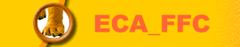 Link to ECA_FFC