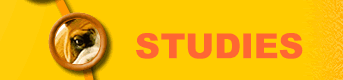 Link to Studies
