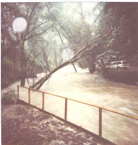 Stream