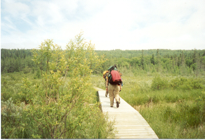 Boardwalk