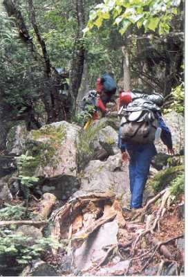 Climbing in the Rain