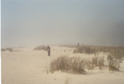 The fog rolls in.