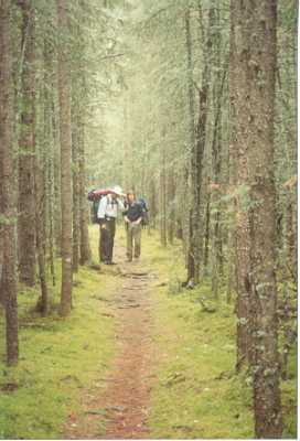 mossyforest