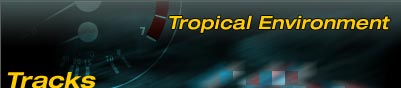 hdr_track_tropical.jpg (7207 bytes)