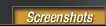 screen_on.gif (1039 bytes)